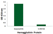 Seasonal H1N1 Hemagglutinin Monoclonal Antibody