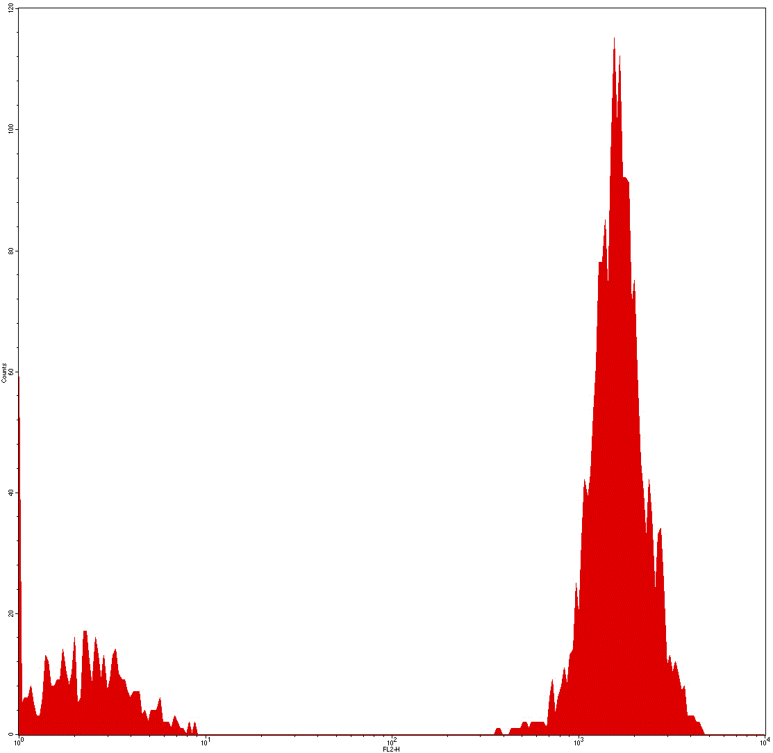 Mouse anti-Human CD3, PE Conjugated mAb