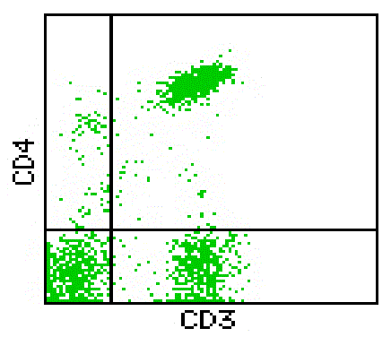 Mouse anti-Human CD3/CD4, FITC/PE Conjugated mAb