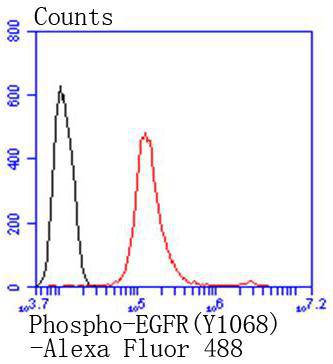 Phospho-EGFR(Y1068) Rabbit mAb