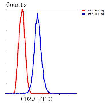 Integrin beta-1/CD29 Antibody