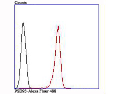 PSD93 Rabbit mAb