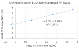 Anti-Nucleocapsid (N) Rabbit Monoclonal Antibody