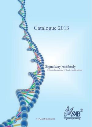 Signalway Antibody 2013 catalogue