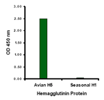 Avian Influenza Hemagglutinin 3 Antibody