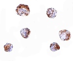 ZBED3 Antibody
