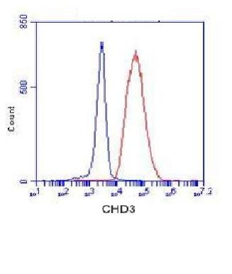 CHD3 Monoclonal Antibody