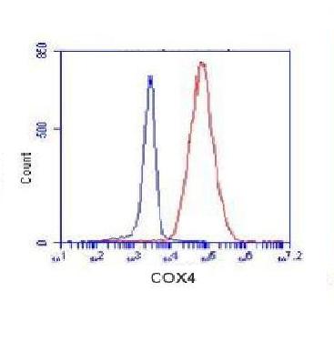 COX4(isoform1) Monoclonal Antibody