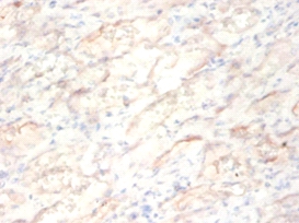 Peptidyl-prolyl cis-trans isomerase FKBP1A Polyclonal Antibody