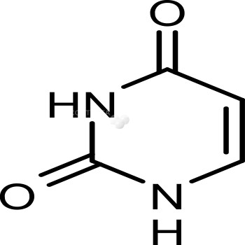 Uracil