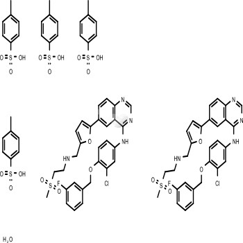 Lapatinib ditosylate monohydrate