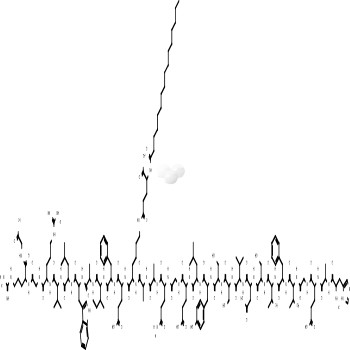 Liraglutide