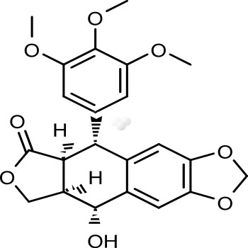 Picropodophyllin (PPP)