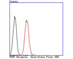 PDGF Receptor  beta Antibody