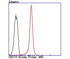 CD274(PD1L1) Antibody