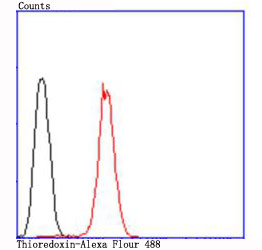 Thioredoxin Antibody
