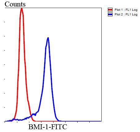 Bmi1 Antibody