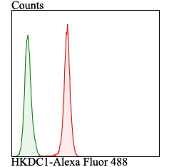 HKDC1 Antibody