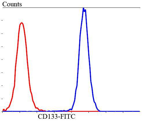 CD133 Antibody