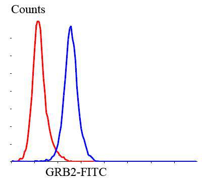 GRB2 Antibody