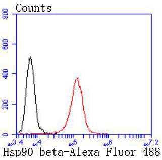 Hsp90 beta Rabbit mAb