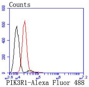 PI 3 Kinase p85 alpha Rabbit mAb