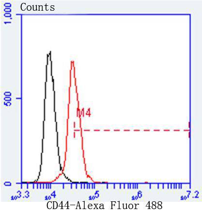 CD44 Rabbit mAb