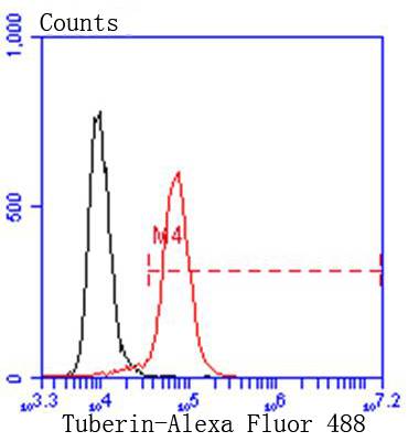 Tuberin Rabbit mAb