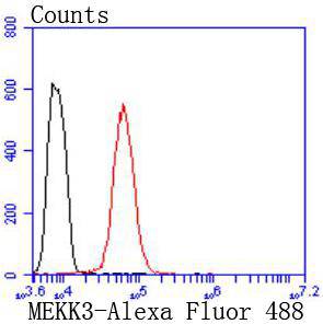 MEKK3 Rabbit mAb