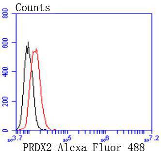 Peroxiredoxin 2 Rabbit mAb