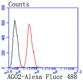 Argonaute 2 Rabbit mAb