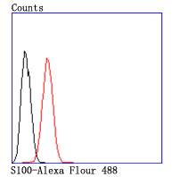 S100 Rabbit mAb