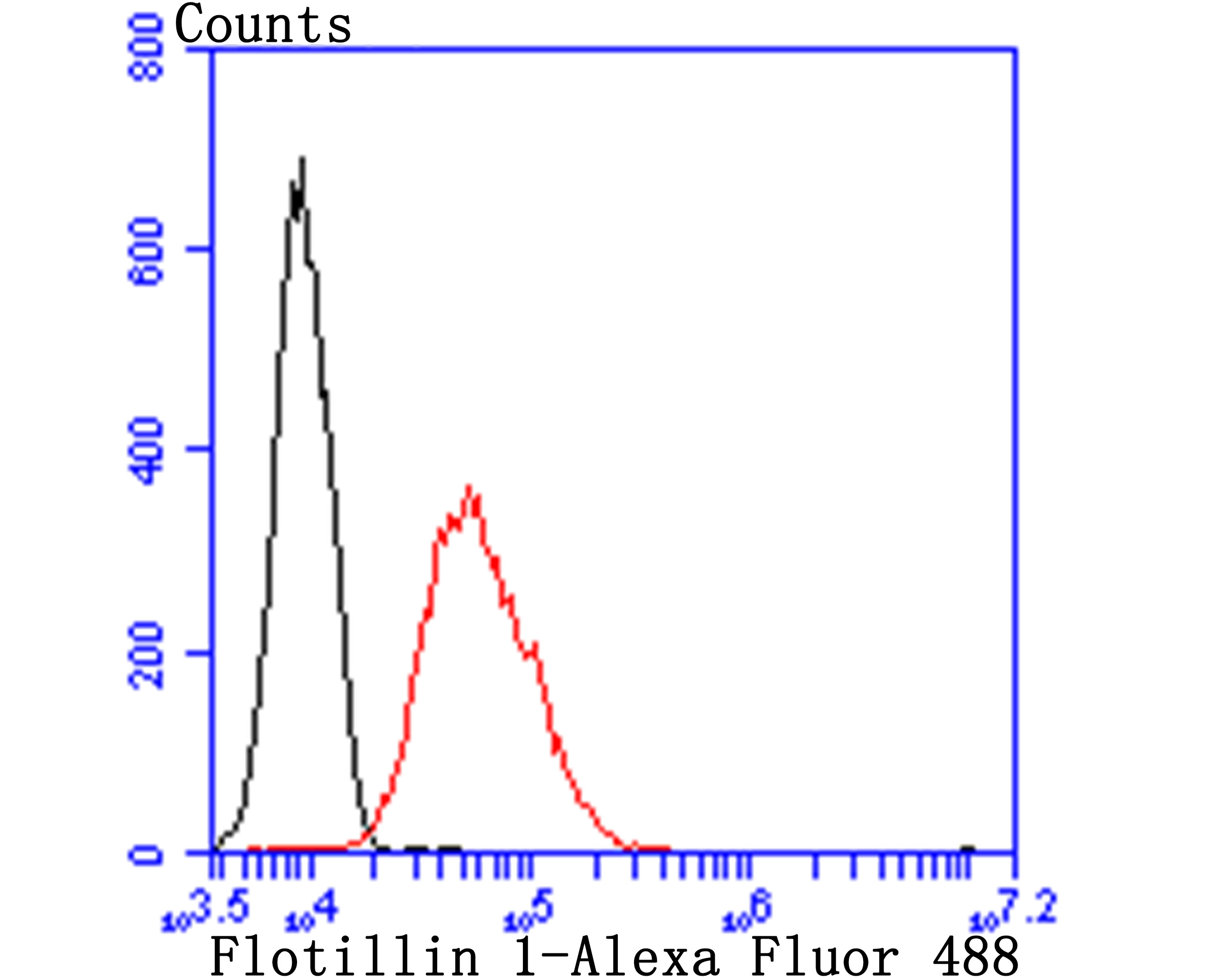 Flotillin 1 Rabbit mAb