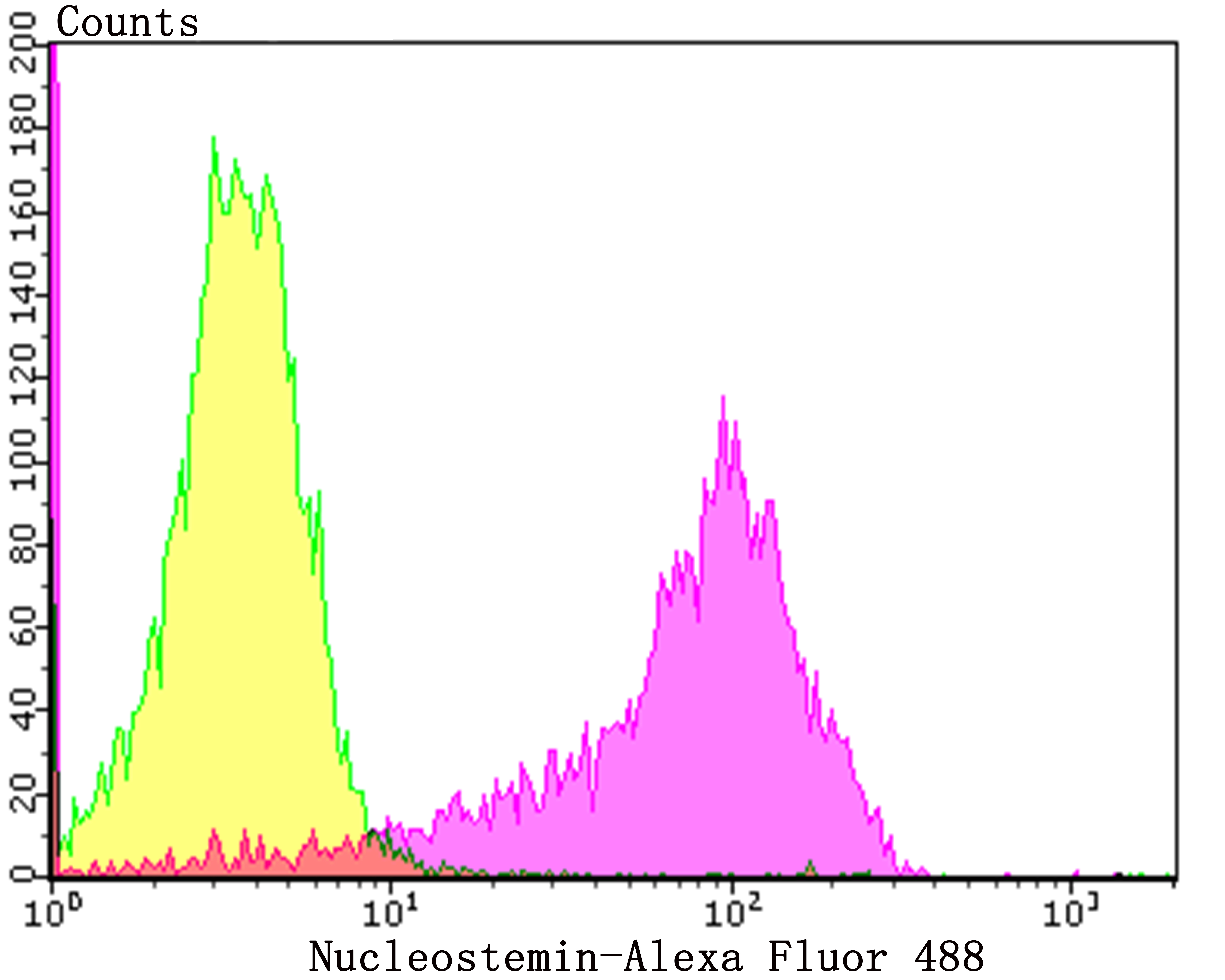 Nucleostemin Rabbit mAb