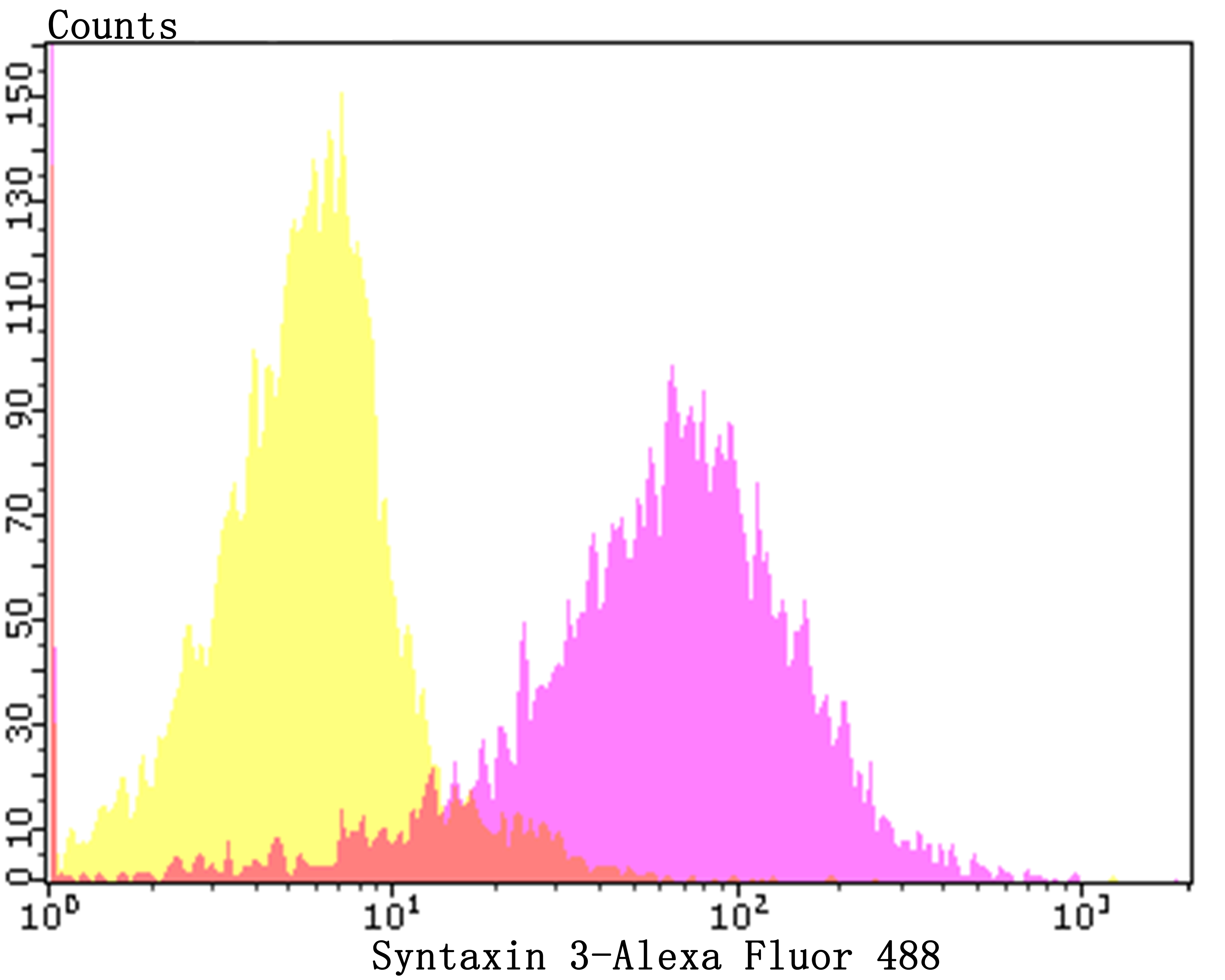 Syntaxin 3 Rabbit mAb