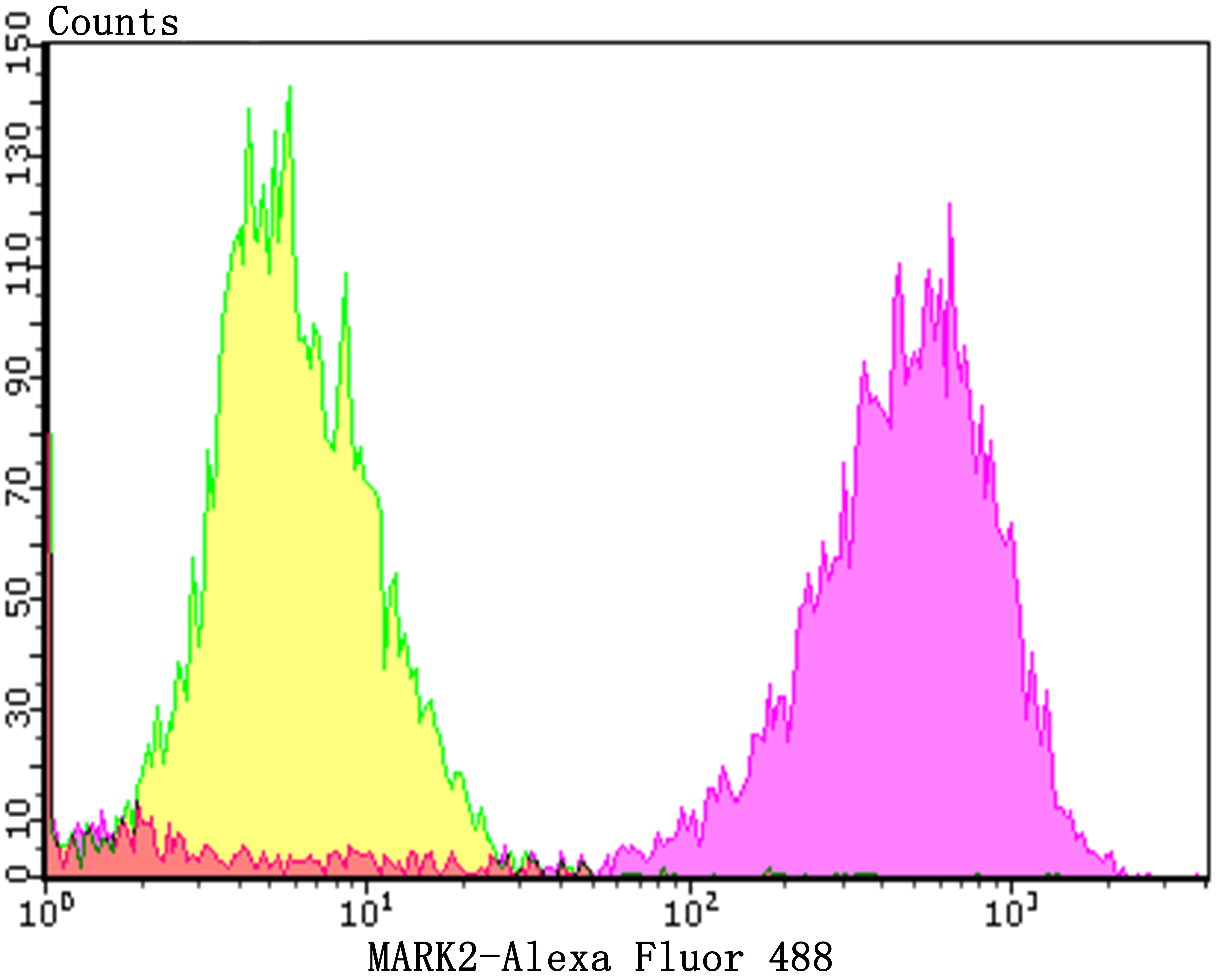 MARK2 Rabbit mAb