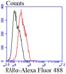 Retinoic Acid Receptor alpha Rabbit mAb