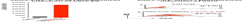 500ul of 60x VSV-G protein pseudotyped lentiviral particles,luciferase reporter