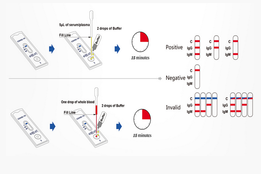 COVID-19 IgG/IgM Rapid Test - SAB | Signalway Antibody