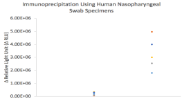 Anti-Nucleocapsid (N) Rabbit Monoclonal Antibody