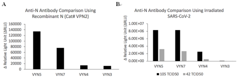 SARS-COV-2 Nucleocapsid (N) Protein