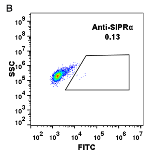 Anti-SIRPα(DM8) antibody, Rabbit mAb