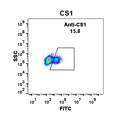 Anti-CS1 antibody(DM9), Rabbit mAb