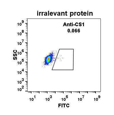 Anti-CS1 antibody(DM10), Rabbit mAb