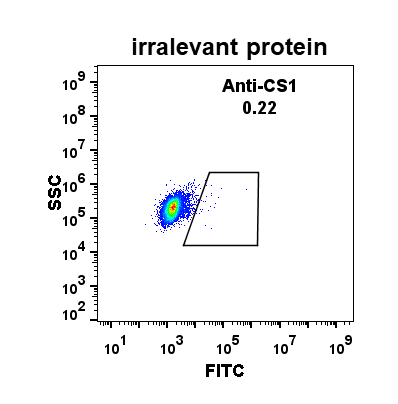 Anti-CS1 antibody(DM11),Rabbit mAb