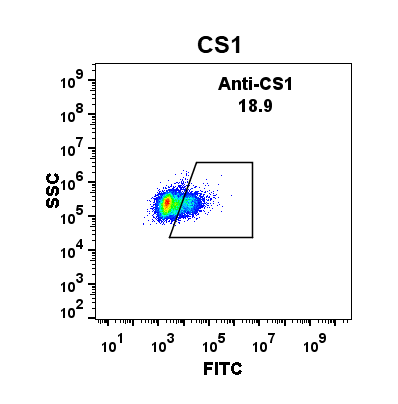 Anti-CS1 antibody(DM11),Rabbit mAb