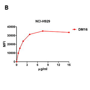 Anti-BCMA antibody(DM16), Rabbit mAb