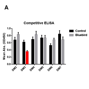 Anti-BCMA antibody(DM16), Rabbit mAb