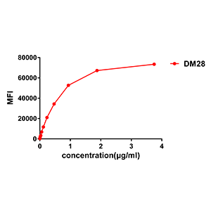 Anti-CD38 antibody(DM28), Rabbit mAb