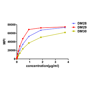 Anti-CD38 antibody(DM28), Rabbit mAb